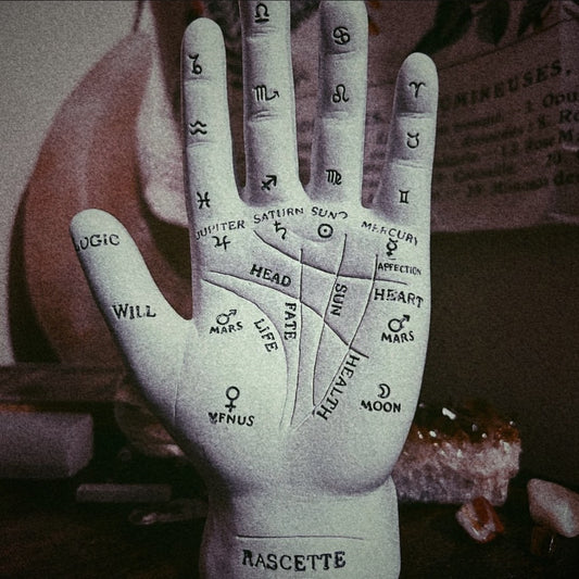 Palm Reading